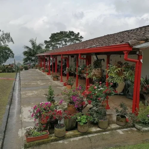 Tour desde Medellin